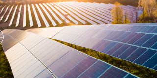 Busca por sustentabilidade alavanca projetos de Energia Solar no Agronegócio e desperta o interesse de grandes empresas